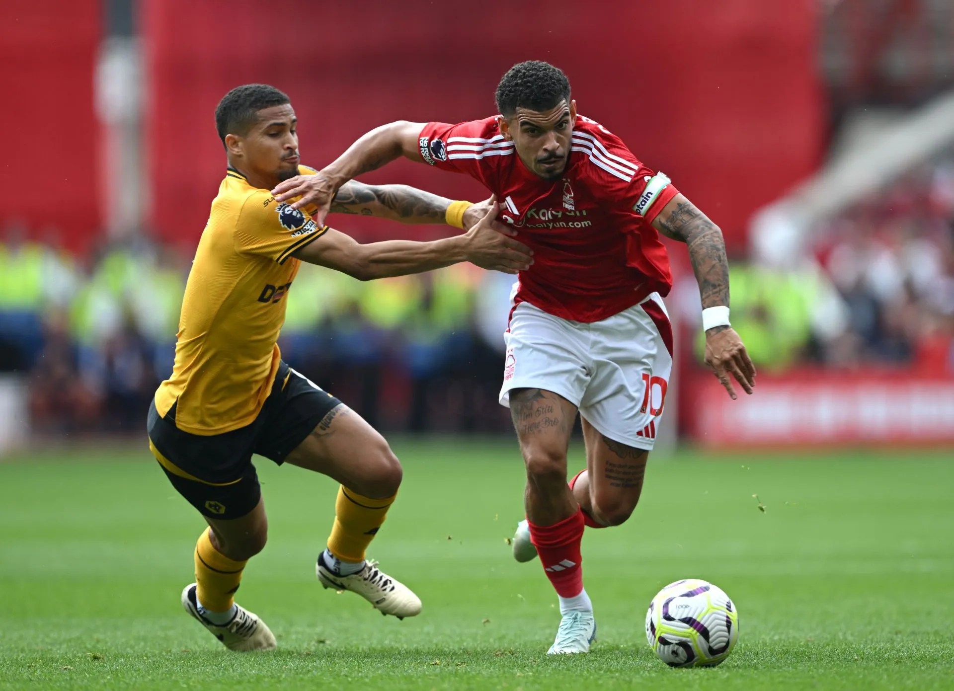 Predictions and Betting Insights for Wolverhampton Wanderers vs Nottingham Forest