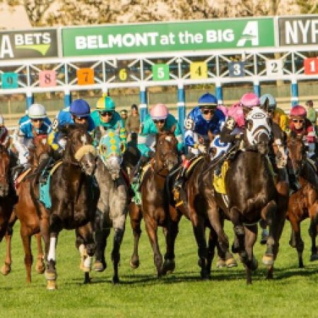 Belmont Selections: 2024 Athenia Stakes Predictions