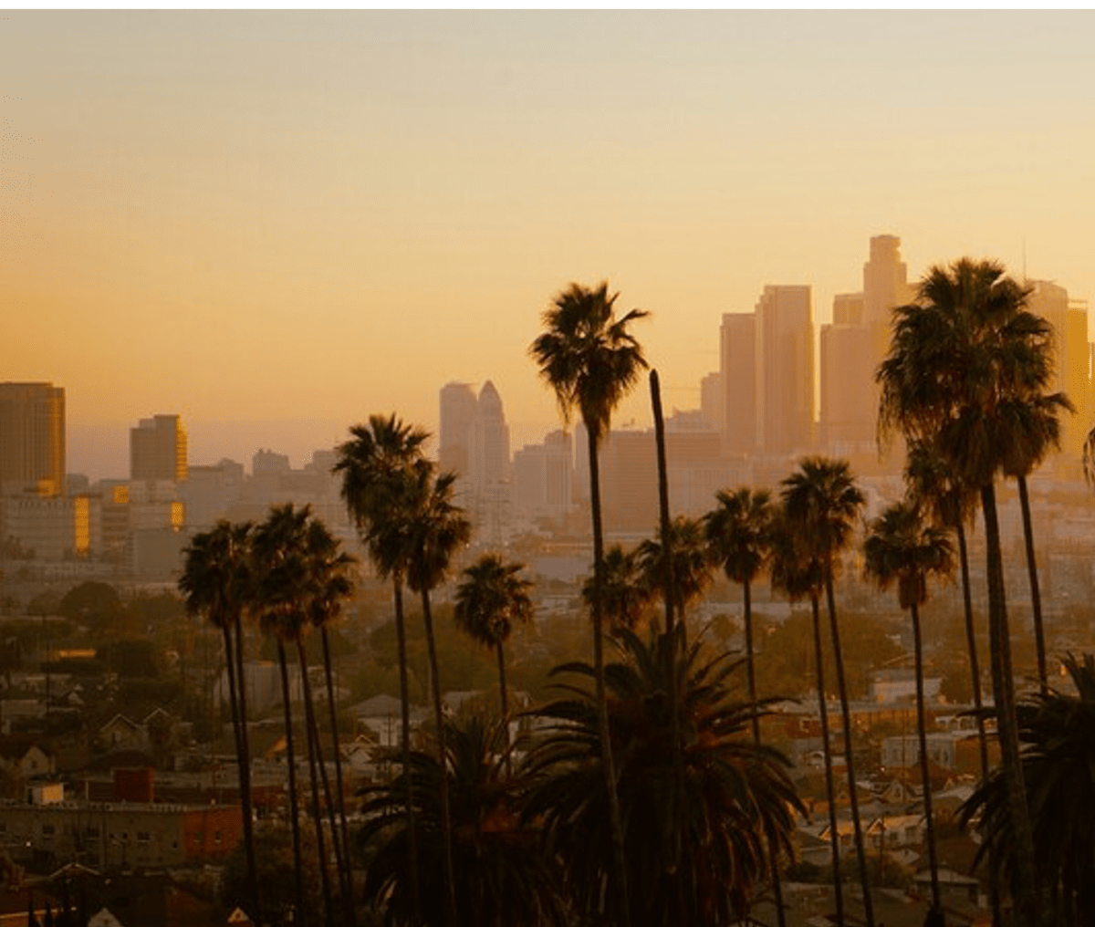 Evaluating the Potential Value of a Regulated Online Gambling Market in California