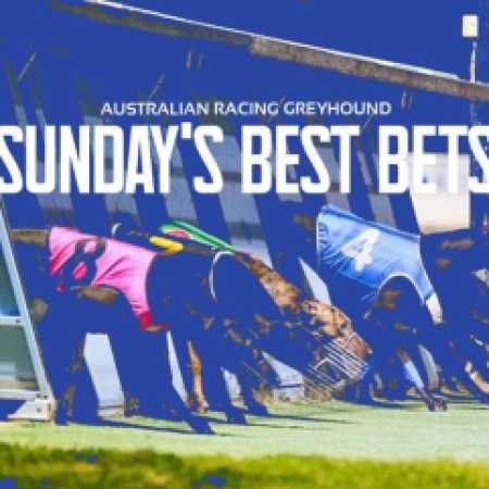 Free Greyhound Racing Insights & Predictions – Sunday, October 20