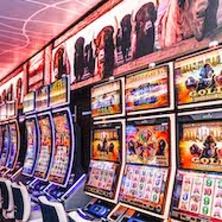 Casino Update: Aristocrat Teams Up with Princess Cruises