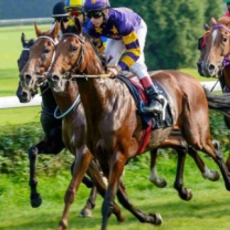 Racing Insights: Andrew Mount’s Spreadex Breakdown – Friday, October 18th