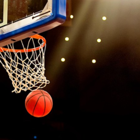 Analyzing the Impact of Gambling Expansion on the NBA: A Case Study