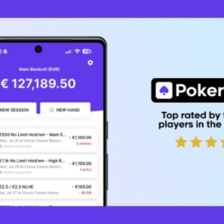 Insights from Professionals on This Bankroll Tracker App