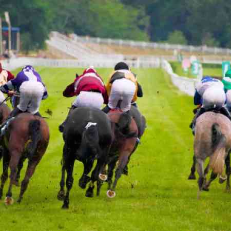 Racing Insights: Andrew Mount’s Selections for Wednesday, October 23rd