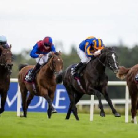 Prominent Legal Firm Predicts Ireland’s New Gambling Advertising Regulations to Take Effect in 2026 — CDC Gaming