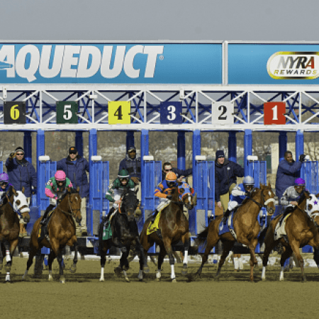 Belmont Selections – 2024 Mother Goose Stakes