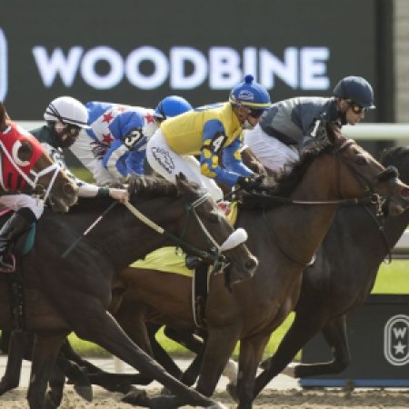 Woodbine Picks: 2024 Ontario Derby Insights