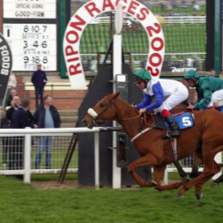 Tote Scoop 6 Races & Expert Betting Insights for October 2024