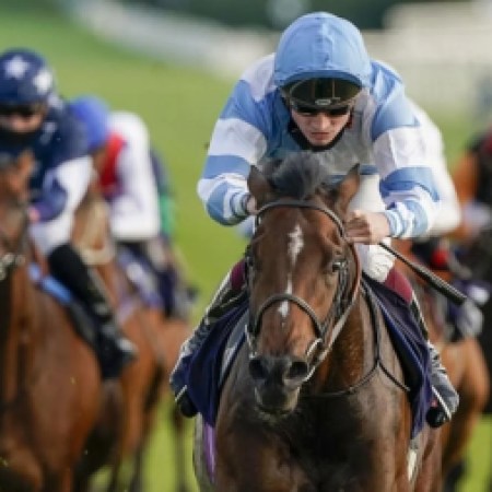 Today’s Horse Racing Betting Tips: Expert Picks for Thursday, October 17th – Bookies.com