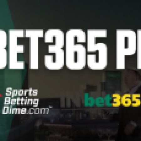 Guide to the Latest Sports Betting Platforms & Top Online Bookmakers